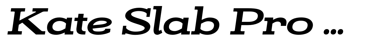 Kate Slab Pro Ultra Expanded 800 Extra Bold Italic